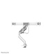 Neomounts Neomounts DS75-450WH2 full motion monitorarm Neomounts Neomounts DS75-450WH2 full motion monitorarm