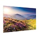 Da-Lite Da-Lite Fullvision 248 inch Matte White Da-Lite Da-Lite Fullvision 248 inch Matte White