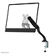 Newstar Newstar FPMA-VESAMAC2127 Newstar Newstar FPMA-VESAMAC2127