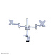 Newstar Newstar FPMA-D1330DWHITE Newstar Newstar FPMA-D1330DWHITE