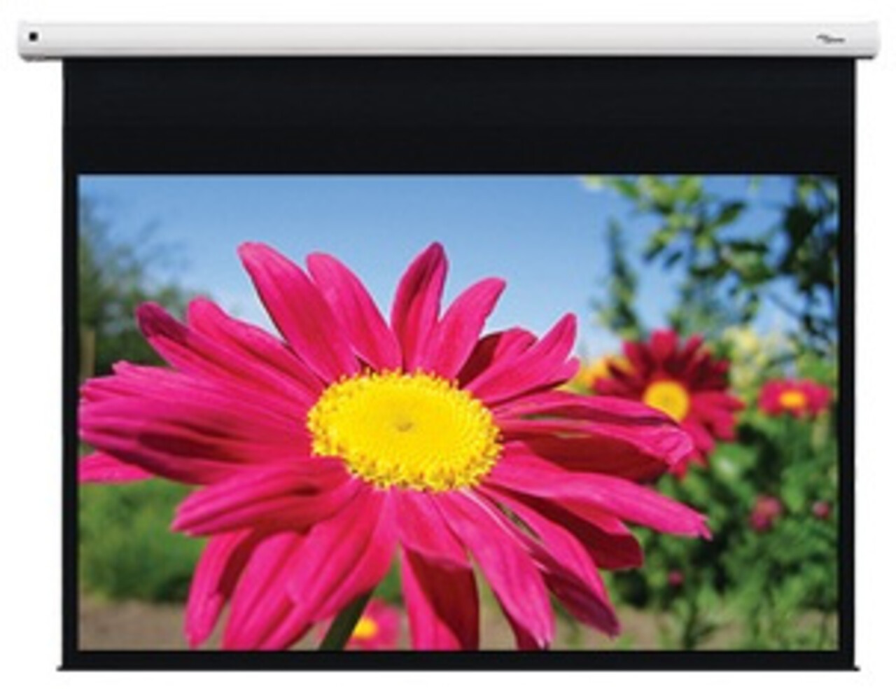 Optoma Optoma DE-1095EGA Optoma Optoma DE-1095EGA