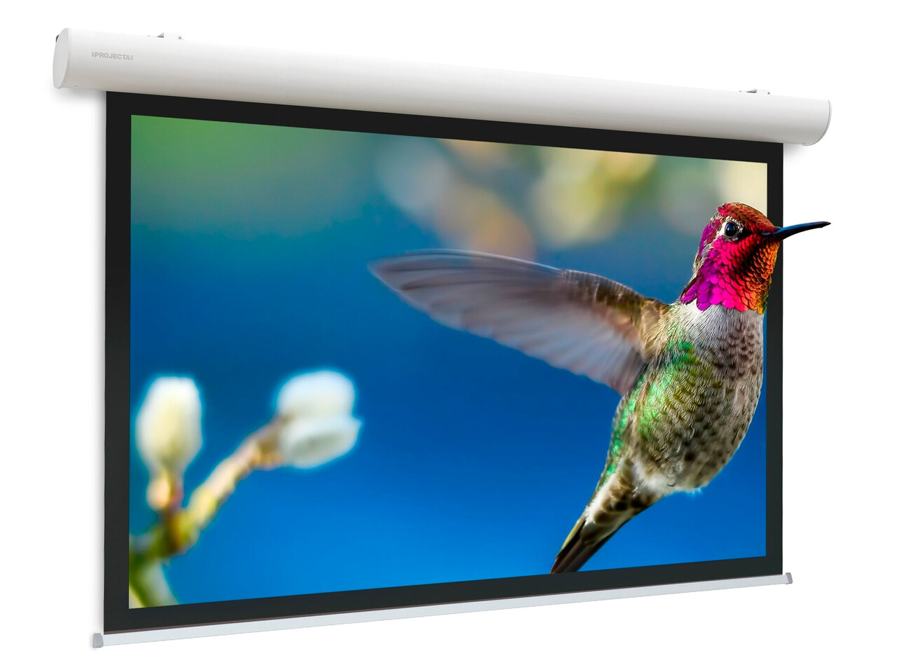 Da-Lite Da-Lite Elpro Concept Electrol 181 inch Matte White Da-Lite Da-Lite Elpro Concept Electrol 181 inch Matte White