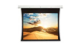 Da-Lite Da-Lite Tensioned Descender El 122 inch HD Progressive 1.3