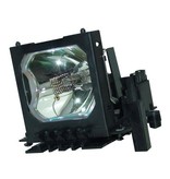 LIESEGANG ZU0296 04 4010 Originele lampmodule