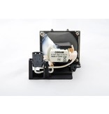 OPTOMA BL-FP165A / SP.89Z01GC01 Originele lampmodule