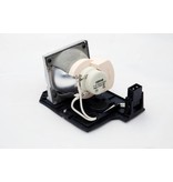 OPTOMA SP.8JA01GC01 / BL-FP230F Originele lampmodule