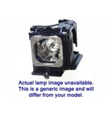 DIGITAL PROJECTION LM00303 Originele lampmodule