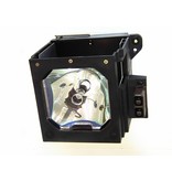 DIGITAL PROJECTION LA00233 Originele lampmodule