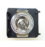 EIKI 080-DH20-0020 Originele lampmodule