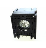 LIESEGANG ZU0237 04 4010 Originele lampmodule