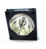 LIESEGANG ZU0255 04 4010 Originele lampmodule