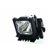 LIESEGANG ZU0212 04 4010 Originele lampmodule