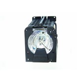 OPTOMA BL-FP120A / SP.81408.001 / BL-FP120B Originele lampmodule