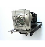 DIGITAL PROJECTION 113-714 Originele lampmodule