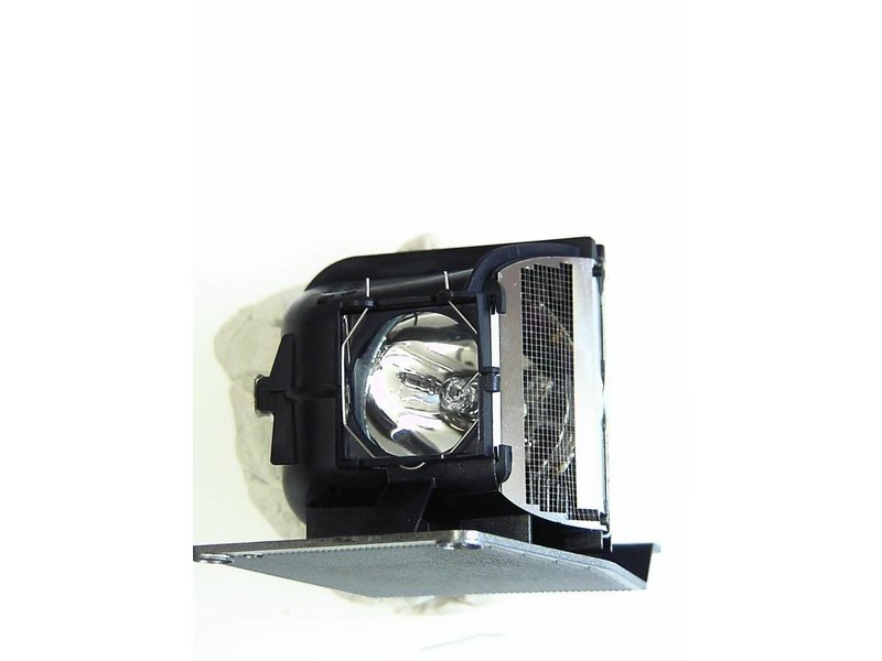 TOSHIBA TLPLP5 Originele lampmodule