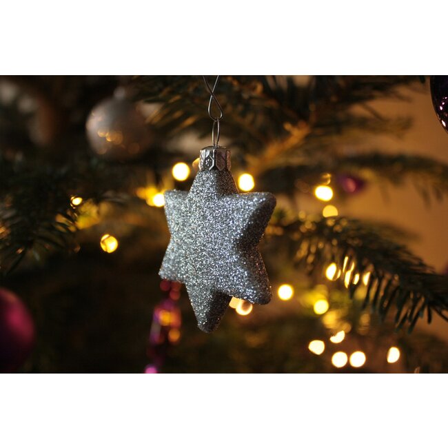 Farfalla Kerstster (Weihnachtsstern) 5 ml.