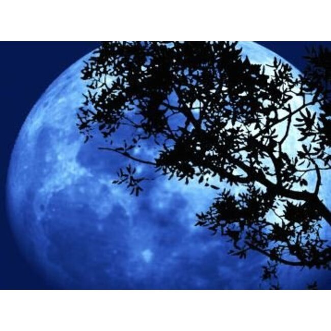 Farfalla Goede Nacht ( Gute Nacht- Lavendel) 5 ml.