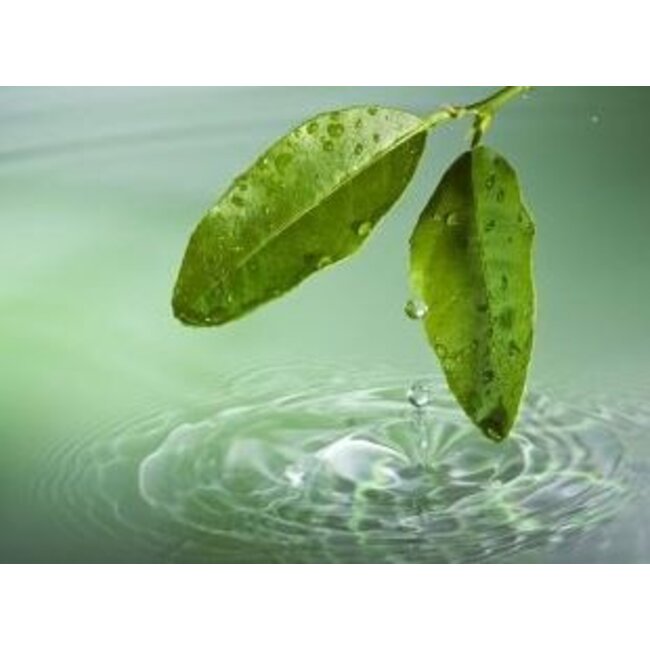 Farfalla Fresh-Erfrischung 5 ml.