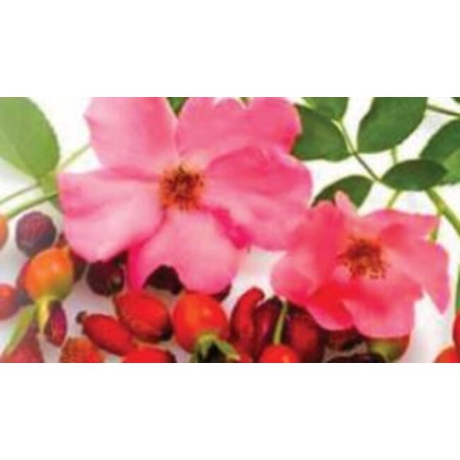 Farfalla Rozenbottel (Wildrose öl) olie BIO