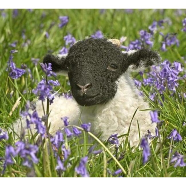 Wolvet/wollwachs (lanoline), 100 gram