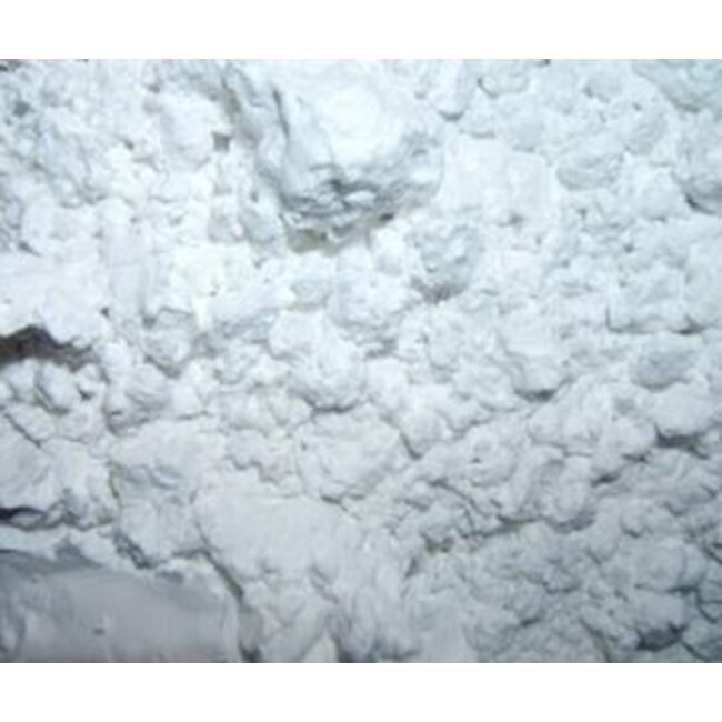 Kiezelaarde - Diatomeeënaarde (Diatomaceous Earth)