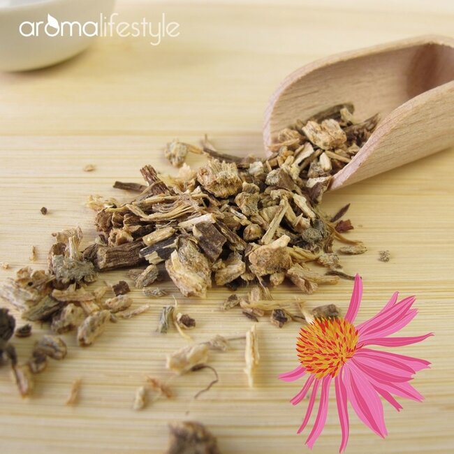 Echinacea wortel 50 gram