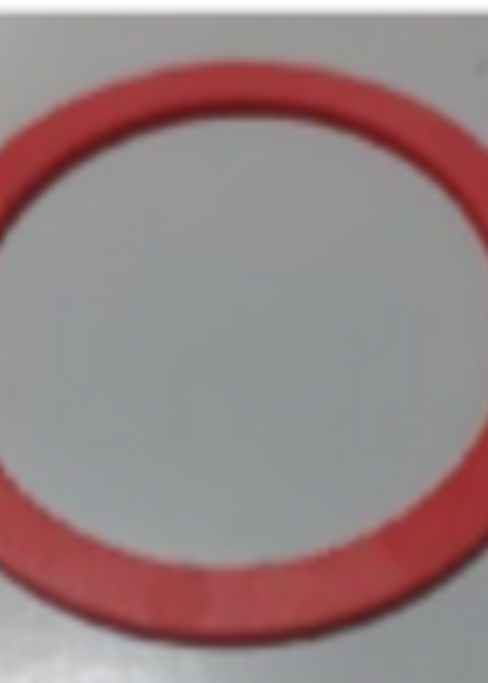 Pearl Luna Preserving rubber ring (10 stuks)