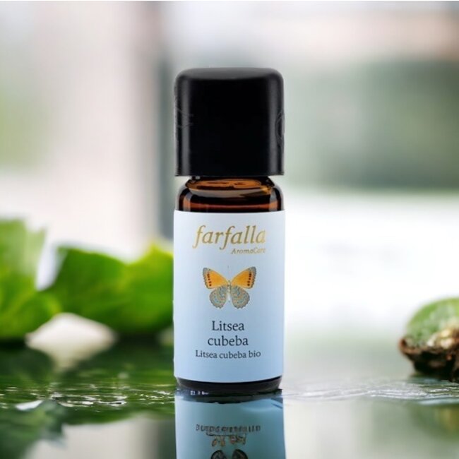 Farfalla Litsea Cubeba (May Chang) etherische olie BIO 10 ml.