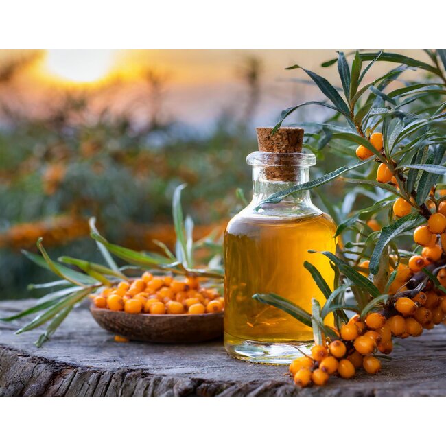 Farfalla Duindoornolie (Sanddorn) 30 ml. BIO