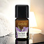 Farfalla Goede Nacht ( Gute Nacht- Lavendel) 5 ml.