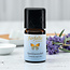 Farfalla Spijklavendel (Speiklavendel)  BIO 5 ml.