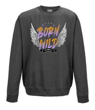 AZUKA Sweater BORN TO BE WILD - dark grey
