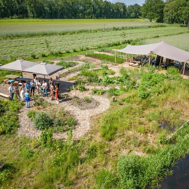 Rineke Dijkinga Tweedaagse zomerschool met Rineke | 26 & 27 juli 2025