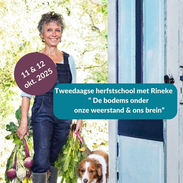 Rineke Dijkinga Tweedaagse herfstschool met Rineke 11 & 12 oktober 2025