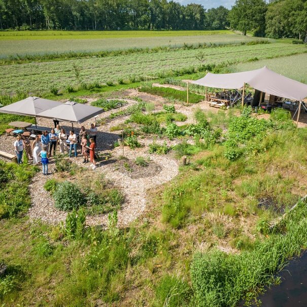 Rineke Dijkinga Tweedaagse workshop:  Maak je natuurlijke huisapotheek en voeding als medicijn.
