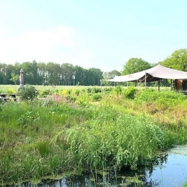 Rineke Dijkinga Inleiding in de gemmotherapie | 7 maart 2026