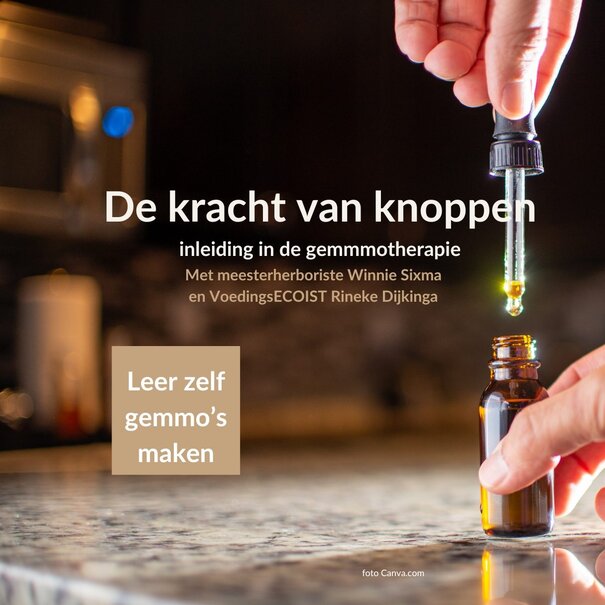 Rineke Dijkinga Inleiding in de gemmotherapie | 7 maart 2026
