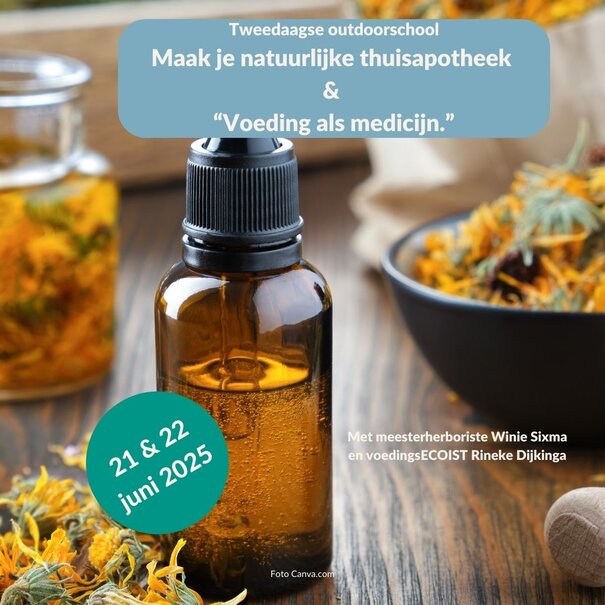 Rineke Dijkinga Tweedaagse workshop:  Maak je natuurlijke huisapotheek en voeding als medicijn.