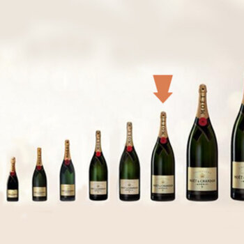 Salmanazar (9L)