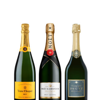Champagne Proeverij Brut 75cl pakket L Versie 4