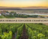 Hoe herken je een goede champagne? 7 tips voor een liefhebber