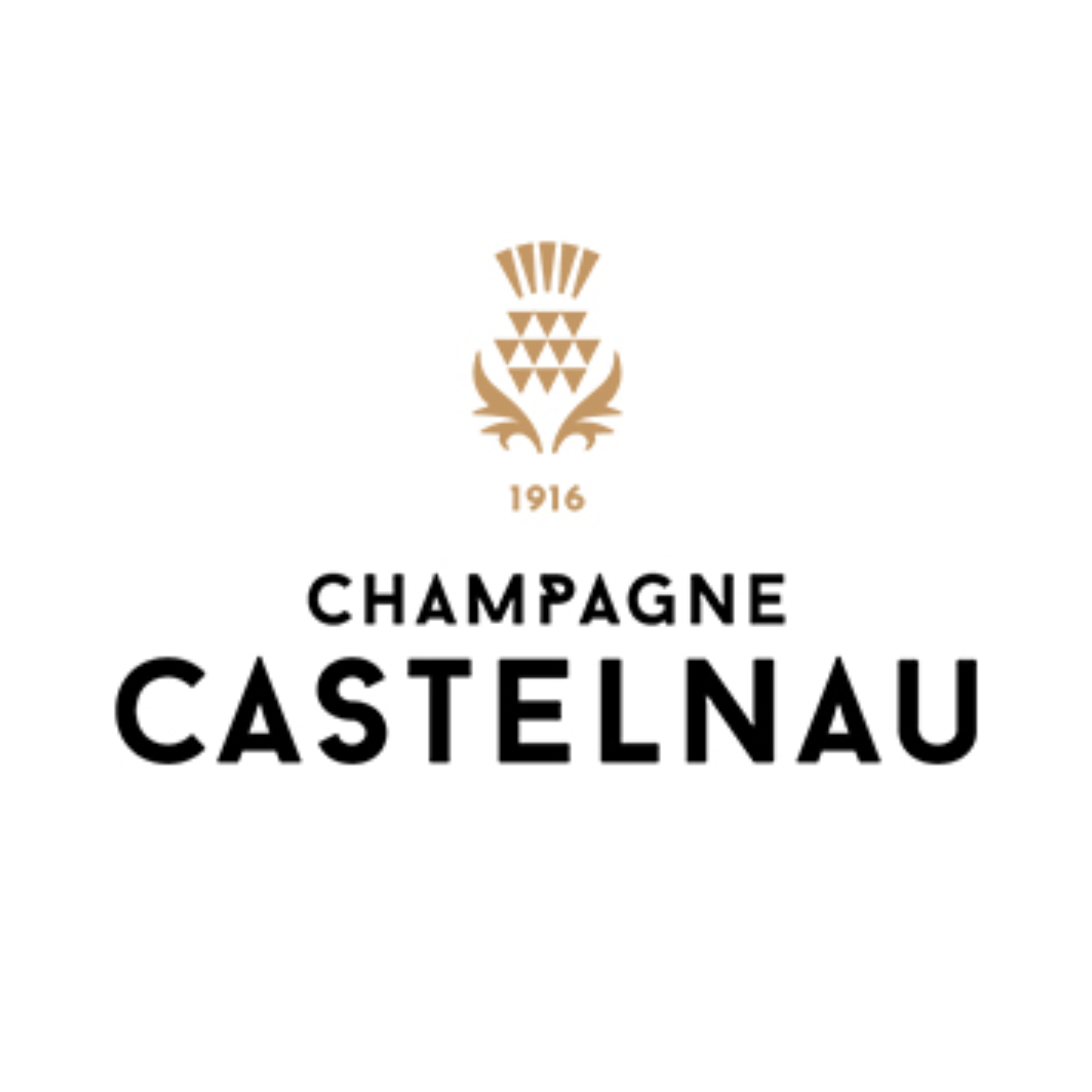 Castelnau Champagne kopen