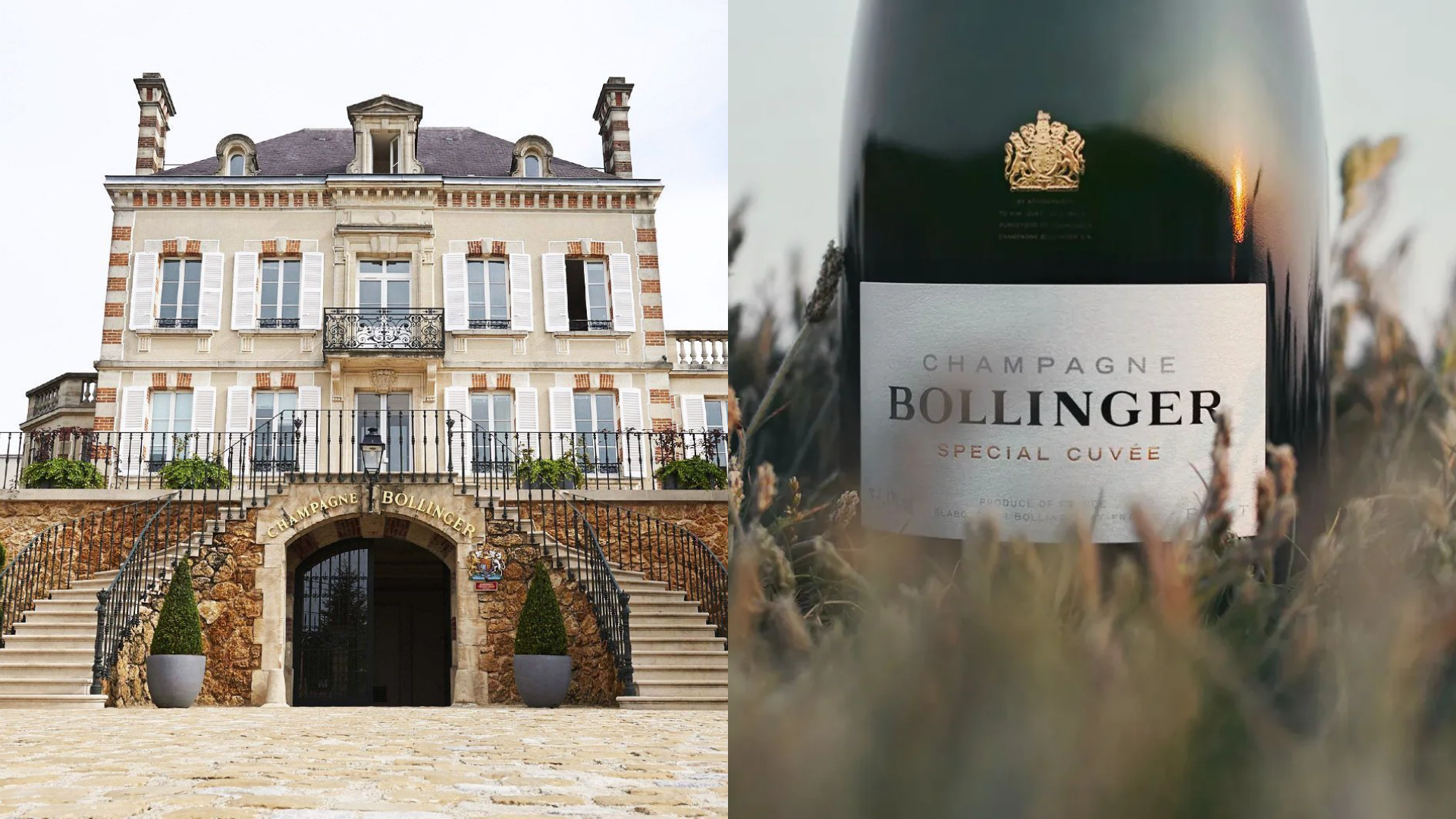 Leer meer over champagnehuis Bollinger