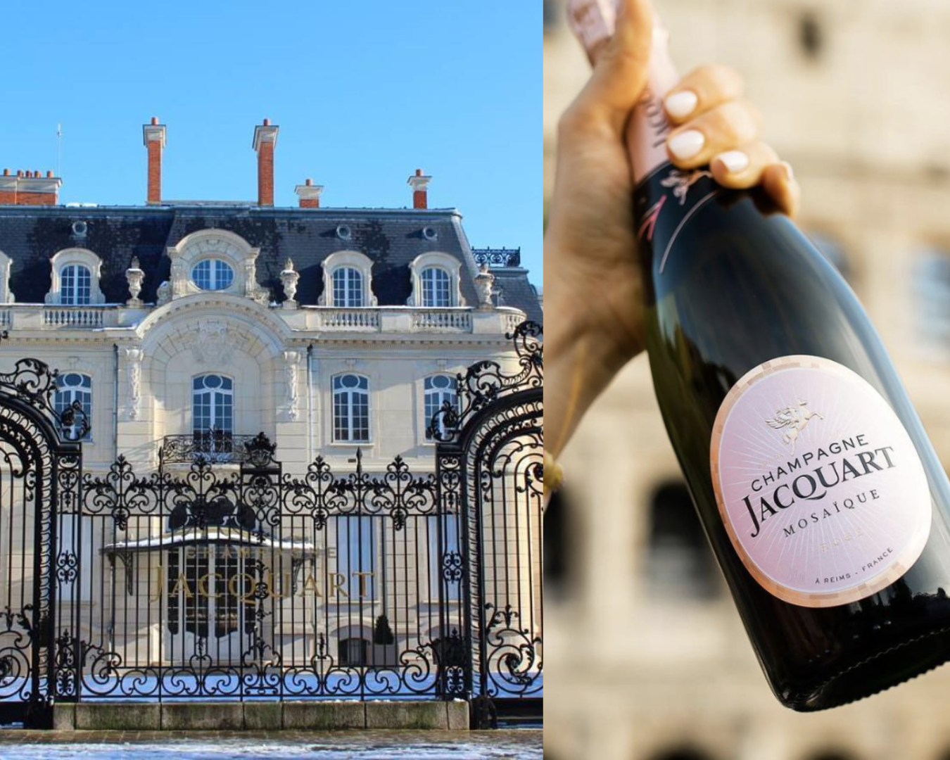 Leer meer over het champagnehuis Jacquart 