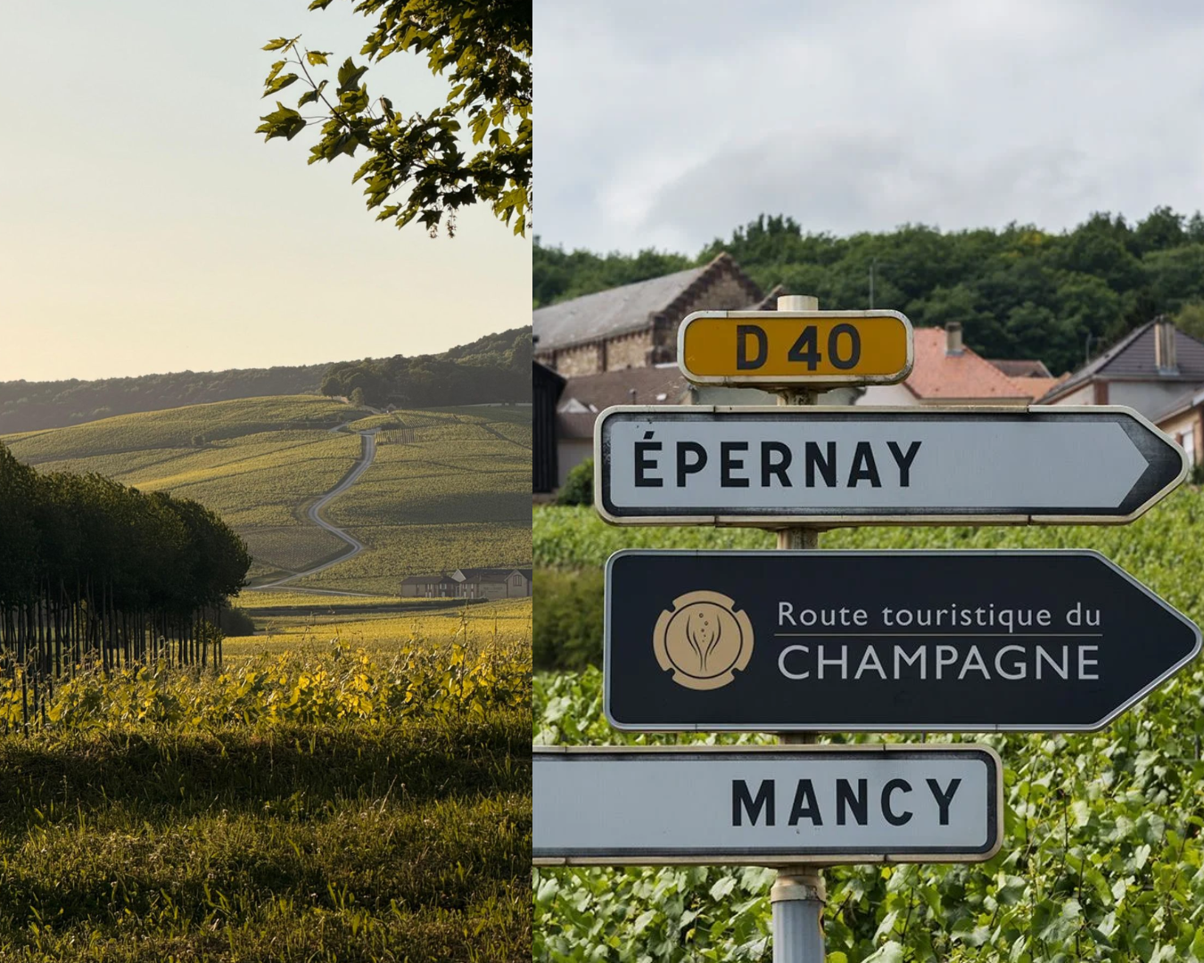 De champagnestreek bezoeken?  Deze tips mag je niet missen