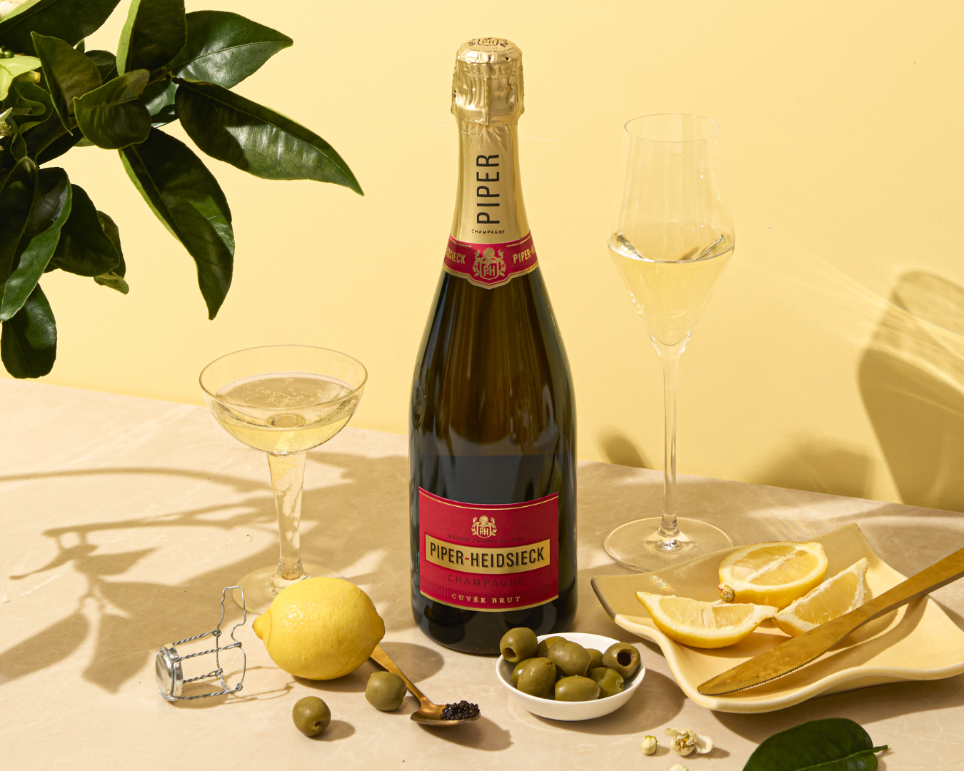 De beste champagne, bestaat die eigenlijk wel? 