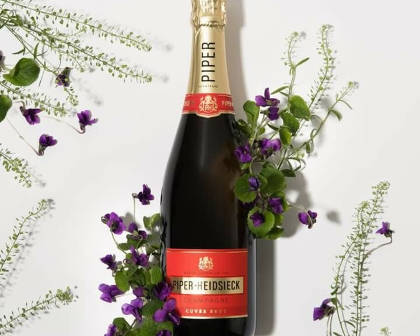 Goede champagne - Betaalbaar en de juiste prijs kwaliteit verhouding. Welke mogelijkheden zijn er? 