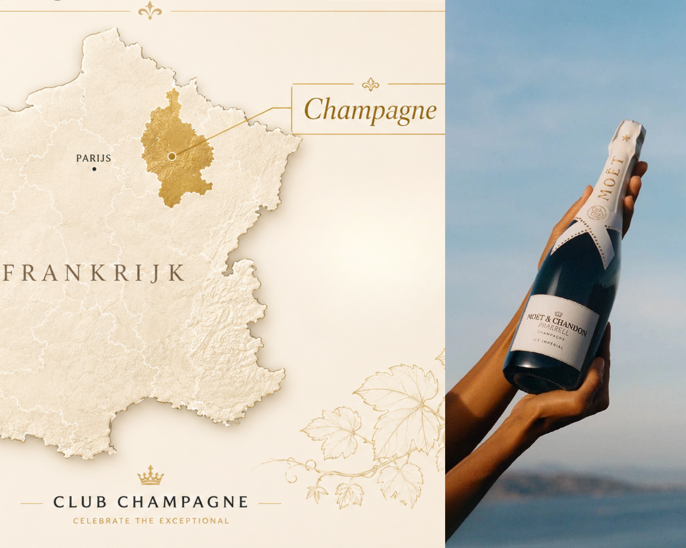 Wijn of champagne: wat is nu écht het verschil?