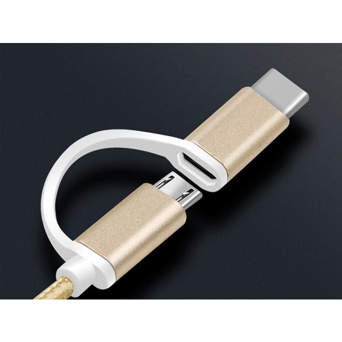 Reekin 2 in 1 oplaad kabel (USB Micro, USB Type-C ) - 1,0 Meter (goud-Nylon)