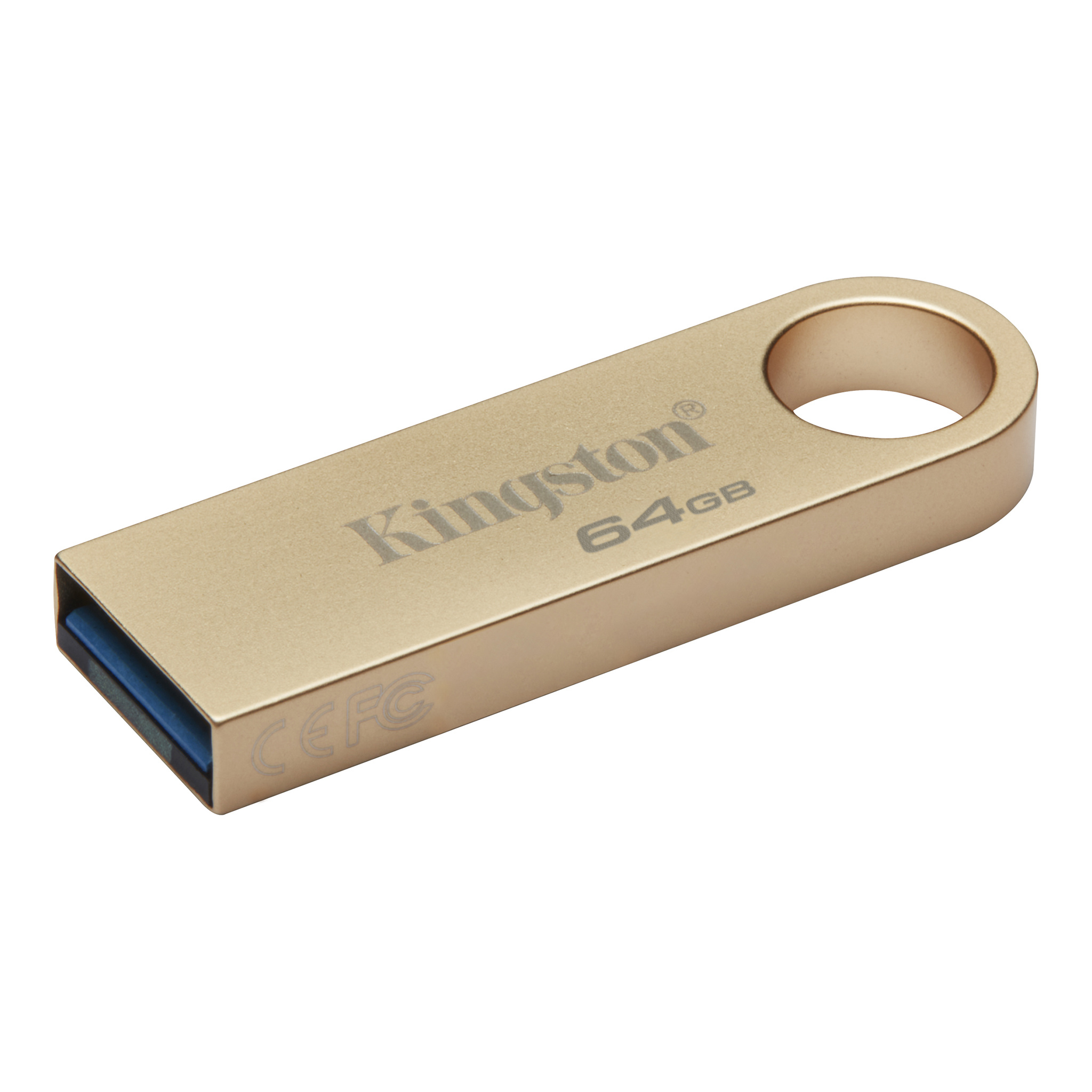 Kingston 64 GB USB-Stick DataTraveler 220MB/s